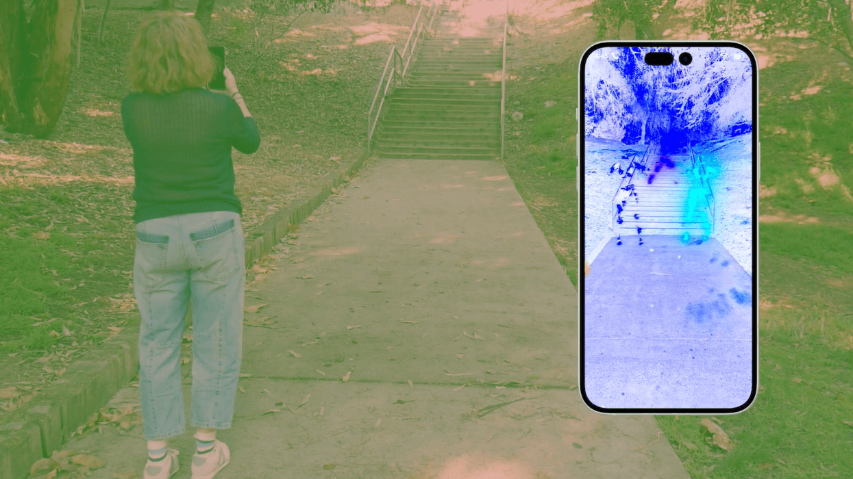 ghosts in the machine the old zoo