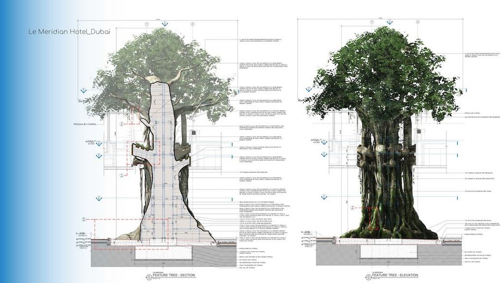 Giant Banyan Tree Sim Leisure