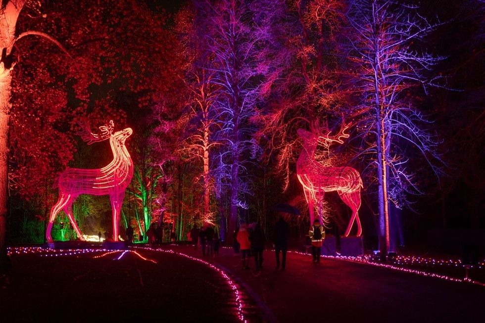 Giant glowing deer displays amidst colorful illuminated forest at night.