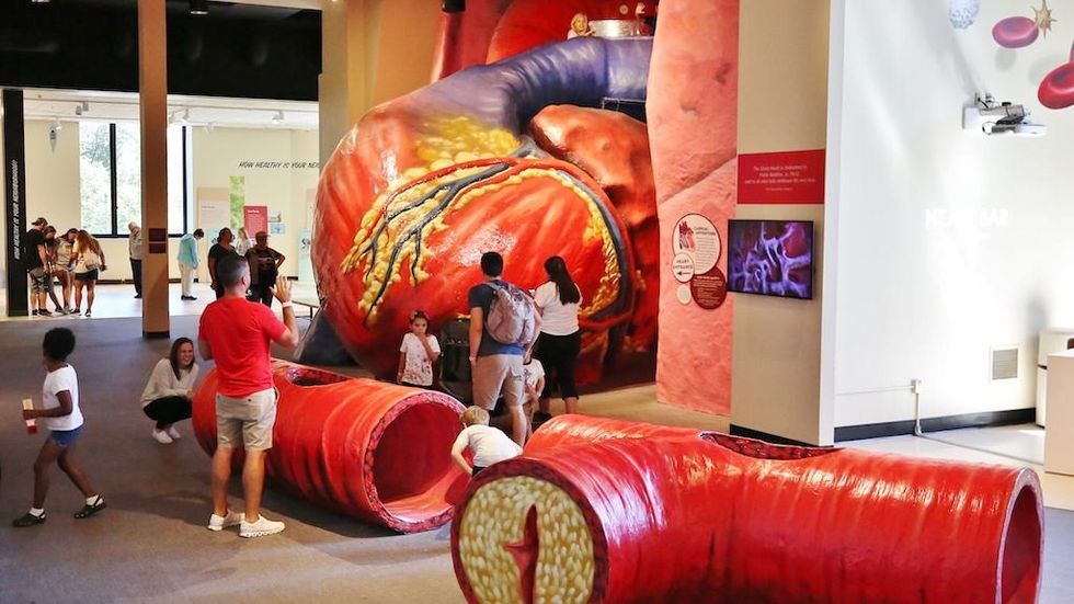 Giant Heart Franklin Institute