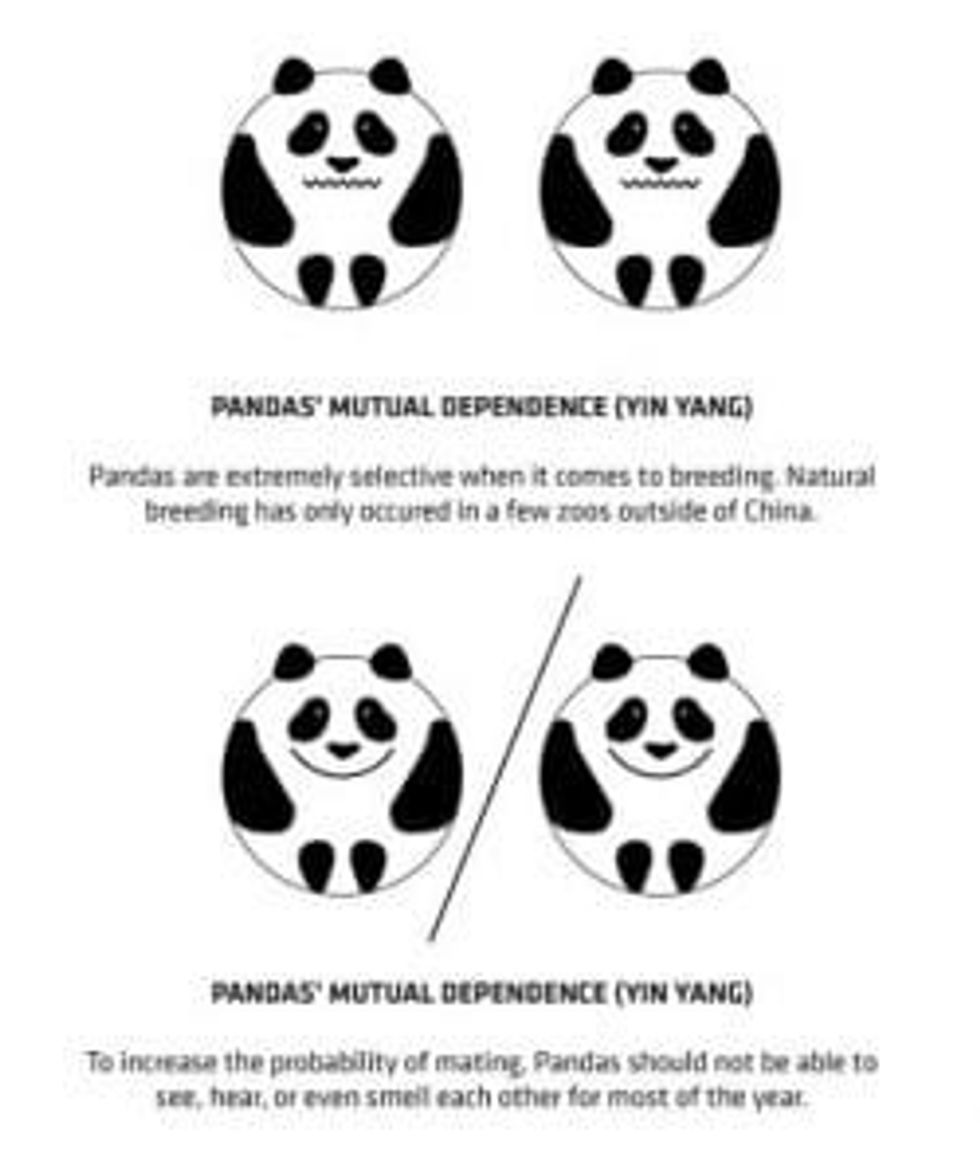 giant pandas the panda house copenhagen zoo BIG