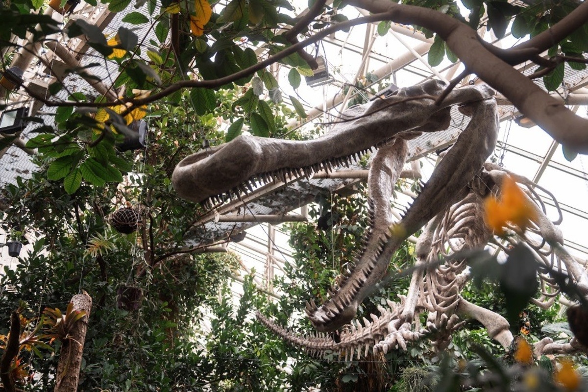 Giants of the Past croc fossil