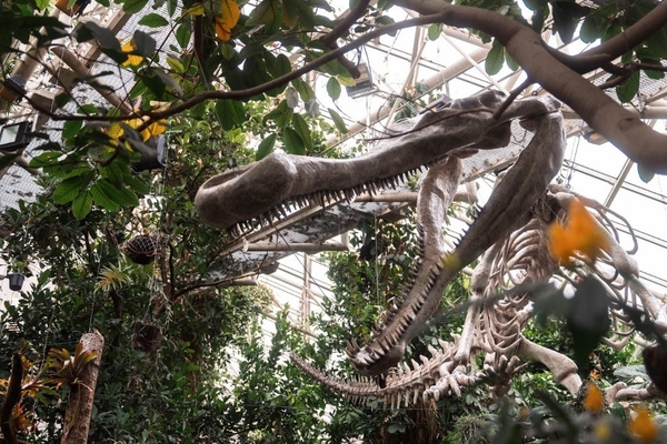 Giants of the Past croc fossil