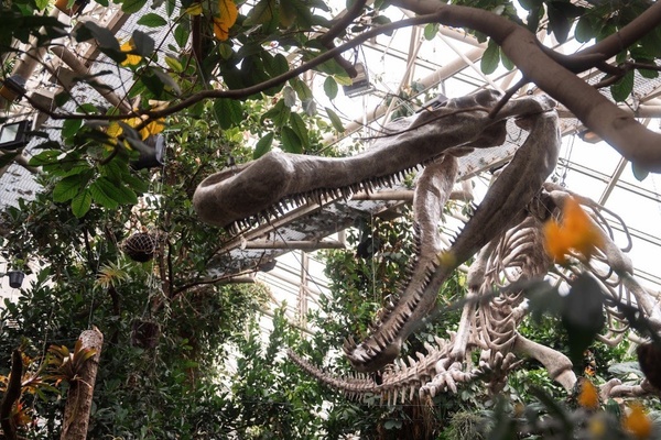 Giants of the Past croc fossil