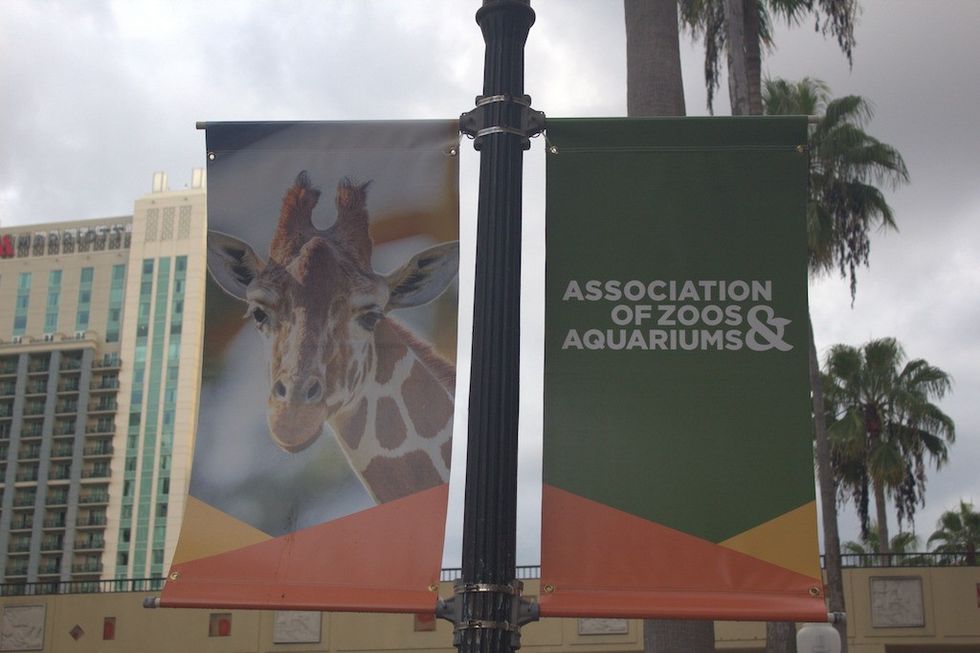 Giraffe banner next to "Association of Zoos & Aquariums" sign on a lamppost.