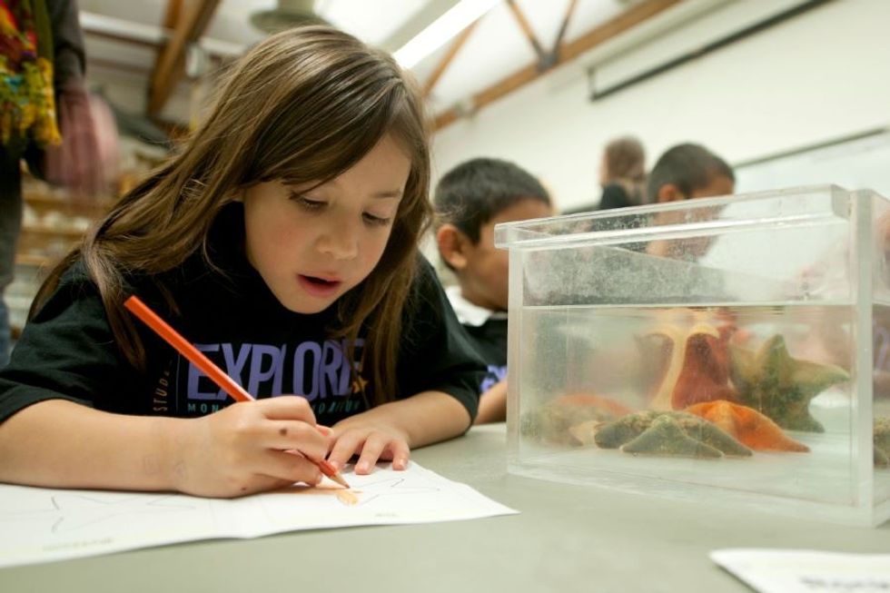 Girl learns about a starfish at Monterey Bay Aquarium