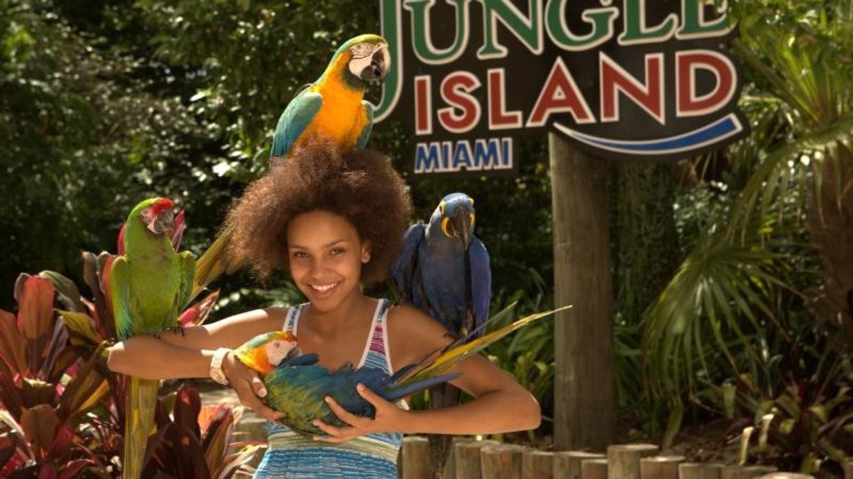 girl with parrots jungle island miami