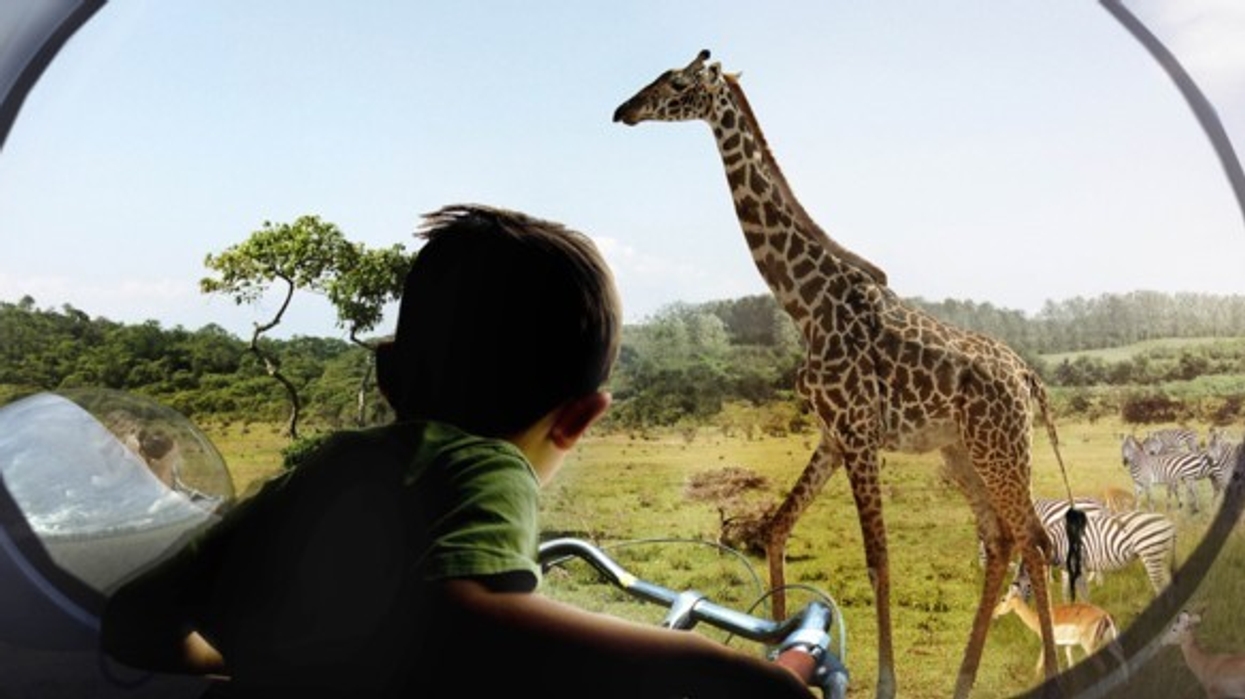 givskud-zoo-denmark