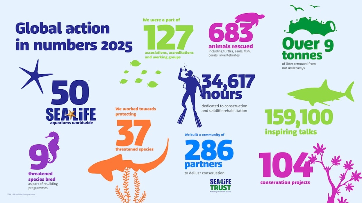 Global conservation milestones for 2025, including rescues and partnerships.