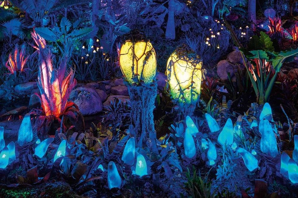 Glowing alien plants and mushrooms illuminate a fantasy forest with vibrant blue and yellow hues.
