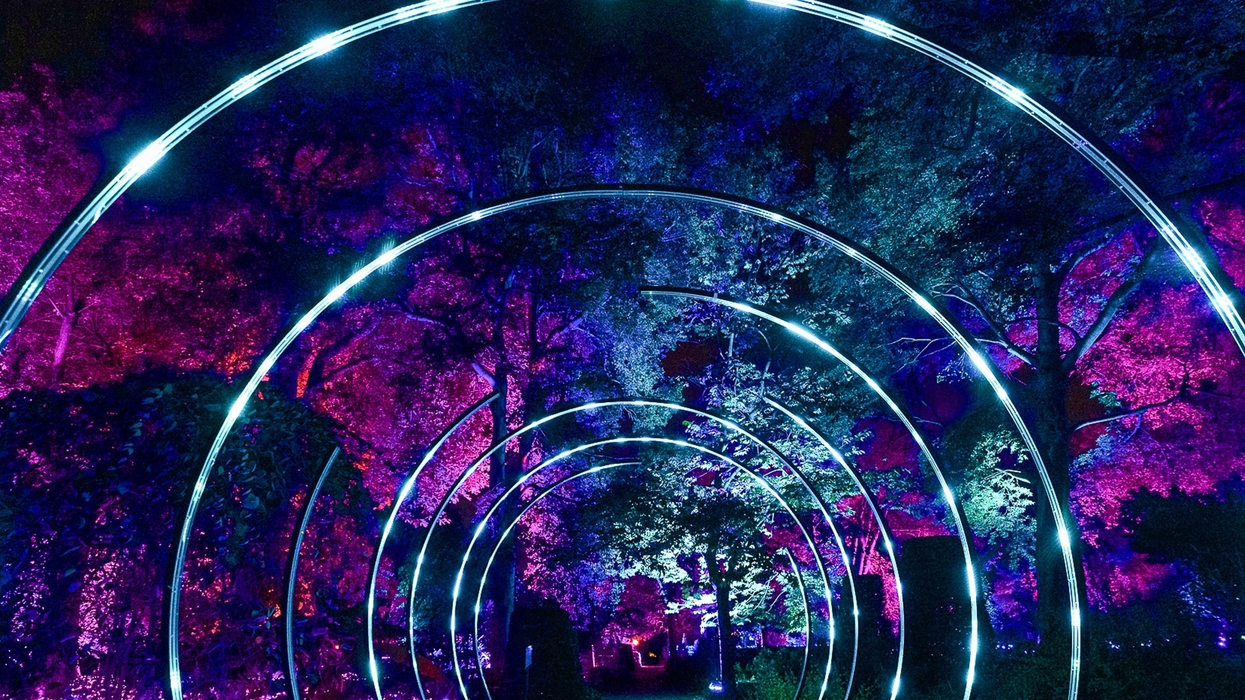 Glowing arches with vibrant purple and blue lights in a forest at night.