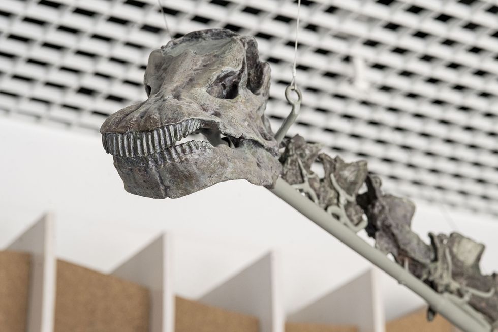 gnatalie natural history museum la