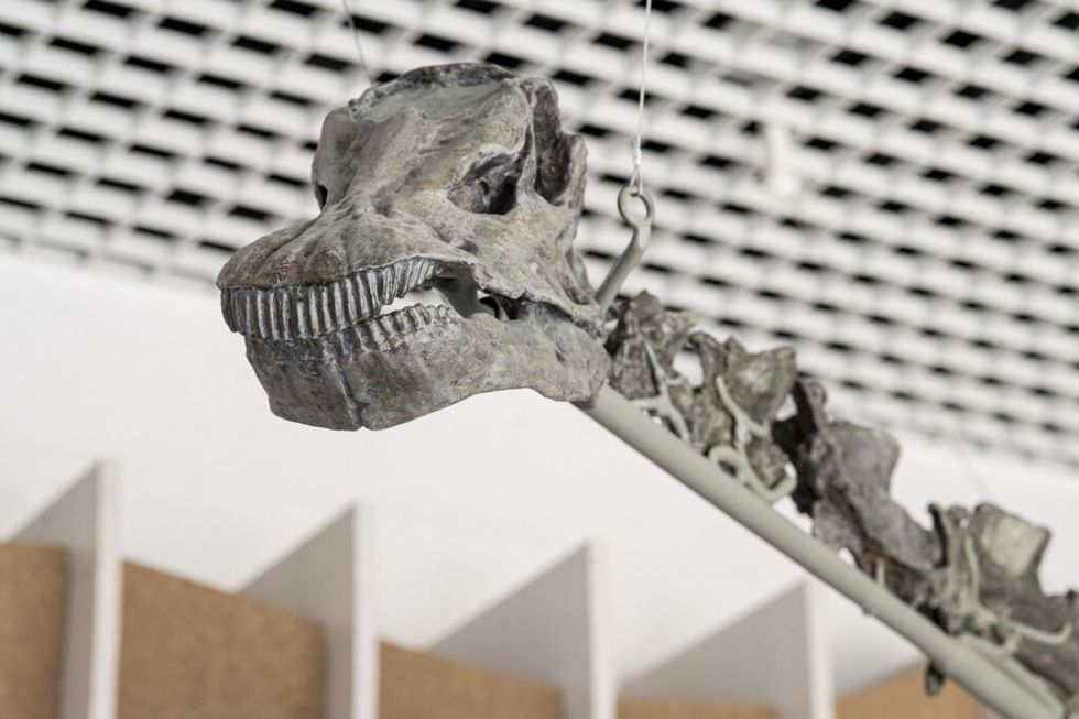 gnatalie natural history museum la