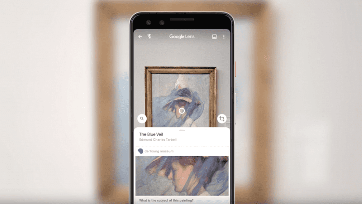 google lens, de young museum