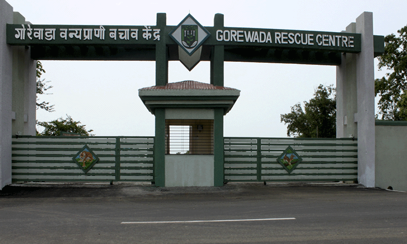 Gorewada zoo