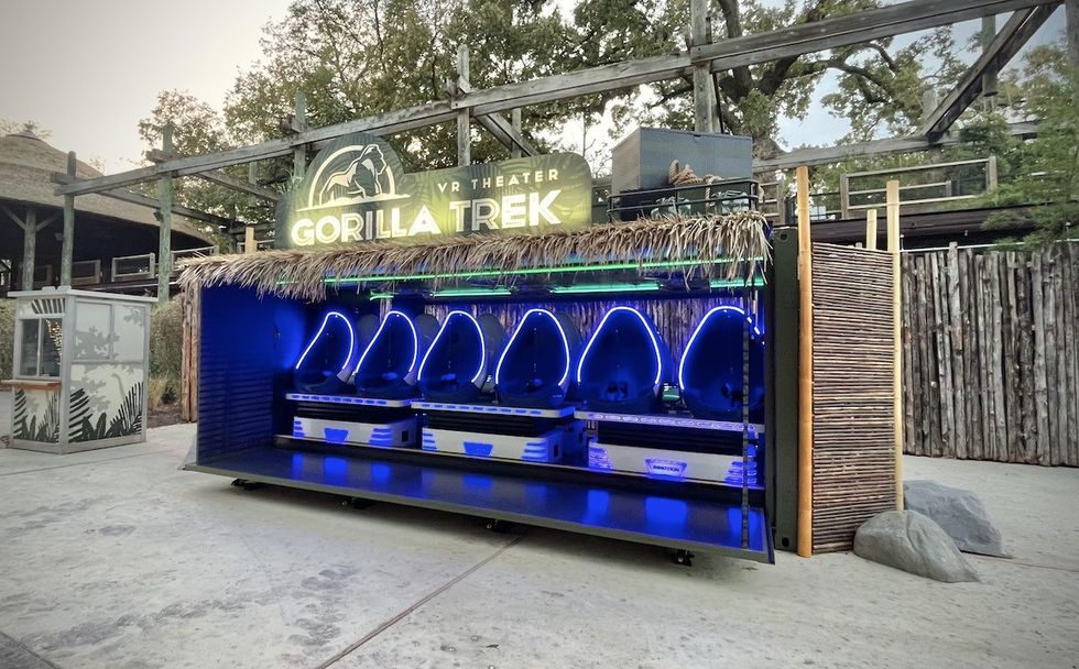 Gorilla Trek VR Immotion Group