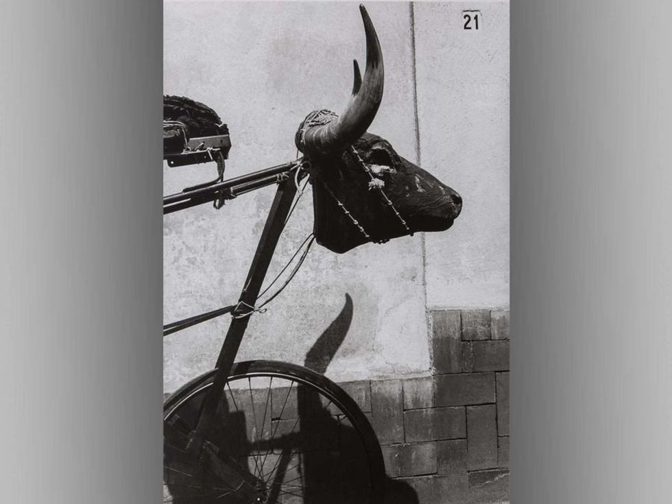 Graciela Iturbide's Mexico Exhibition, Boston MFA