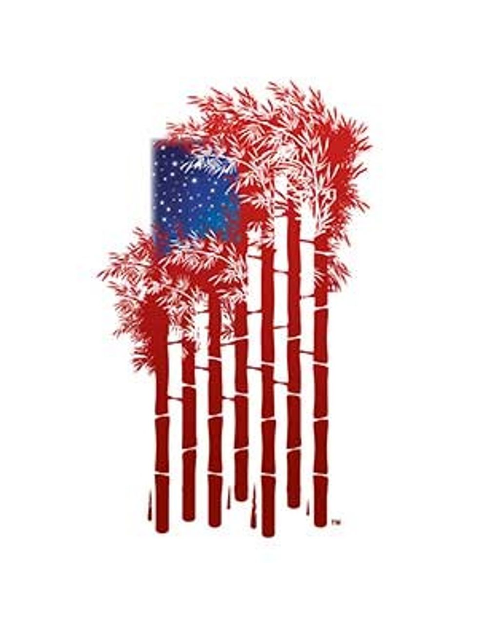 grassbuilt american flag