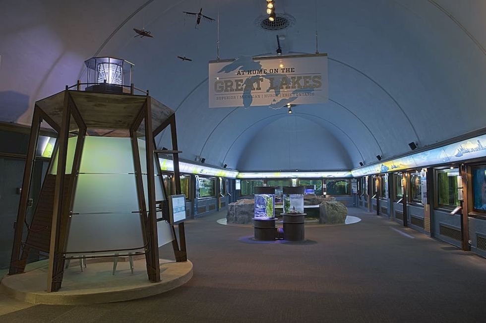 Great Lakes Exhibit Shedd Aquarium