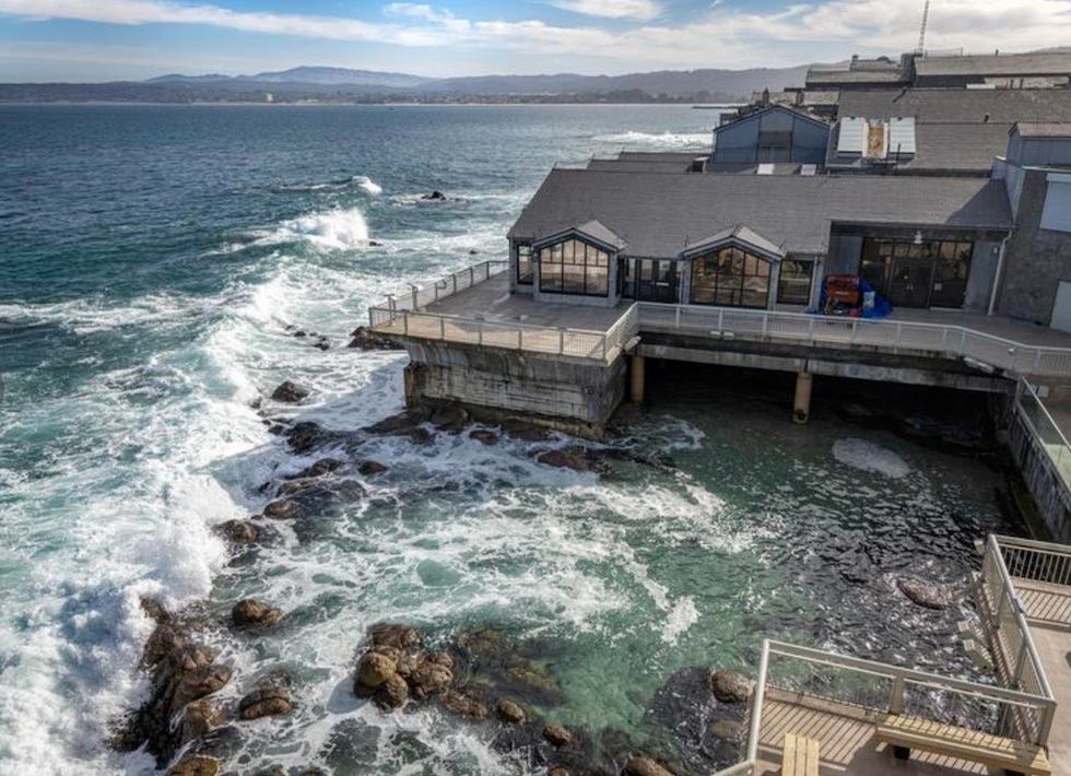 Great Tide Pool and Back Deck - © Monterey Bay Aquarium