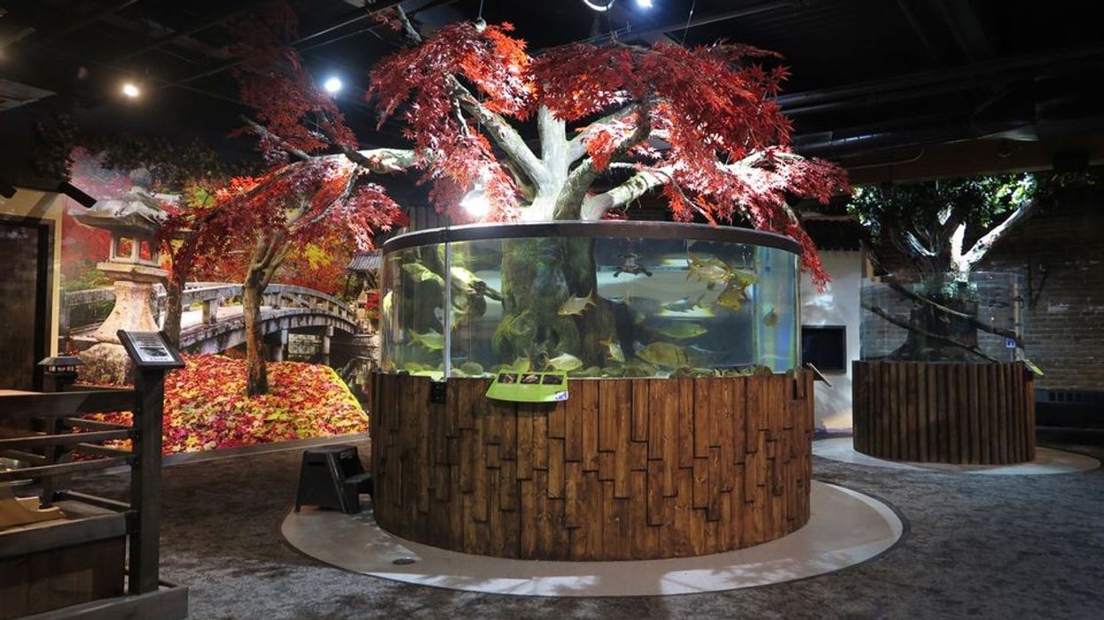 Greater Cleveland Aquarium renovation project.