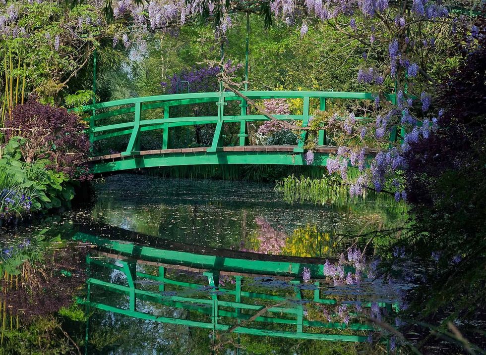 Green bridge over a pond surrounded by lush plants and blooming wisteria at Fondation Monet