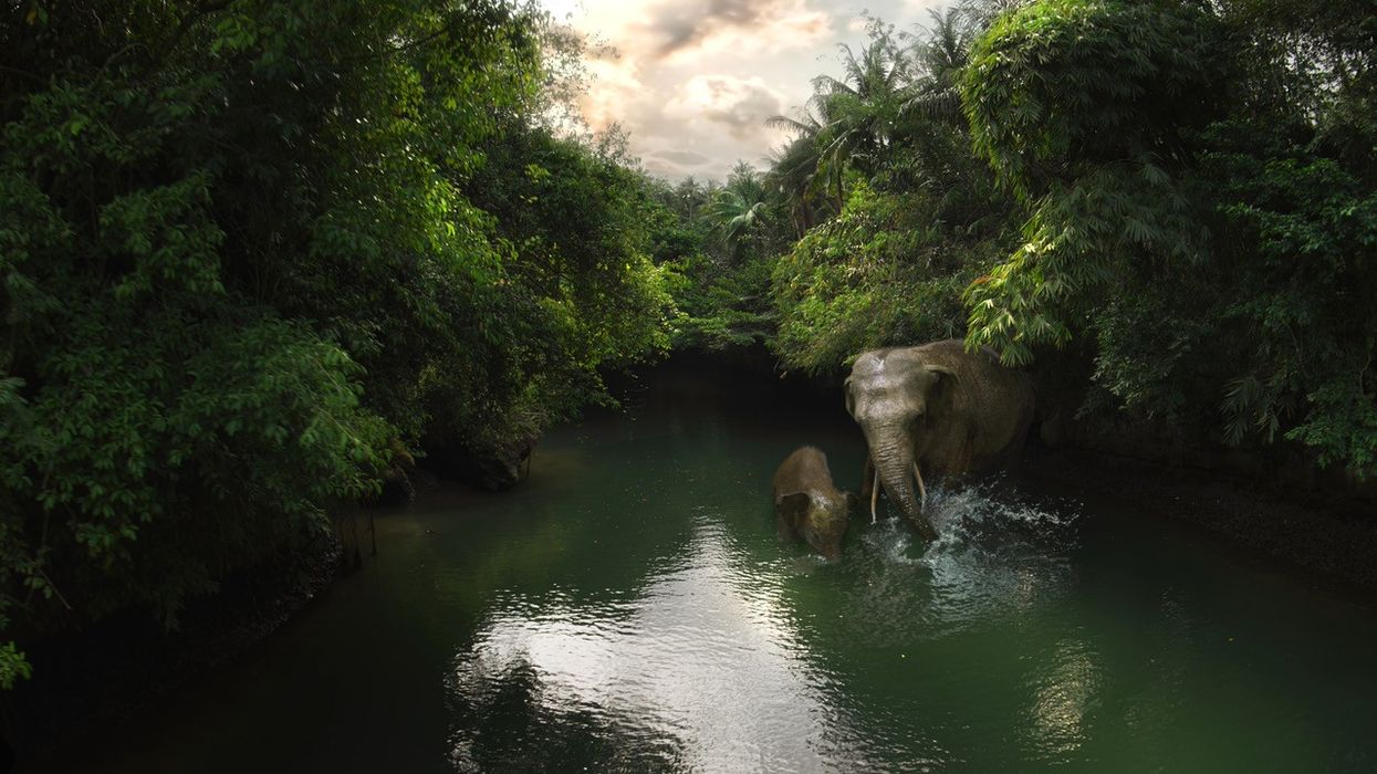 Green Canyon Elephants Flying Over Indonesia