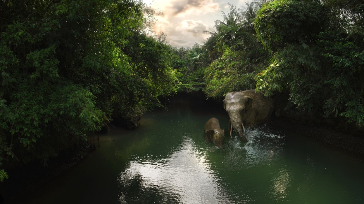 Green Canyon Elephants Flying Over Indonesia