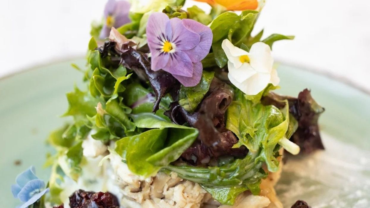 green orchid restaurant sarasota