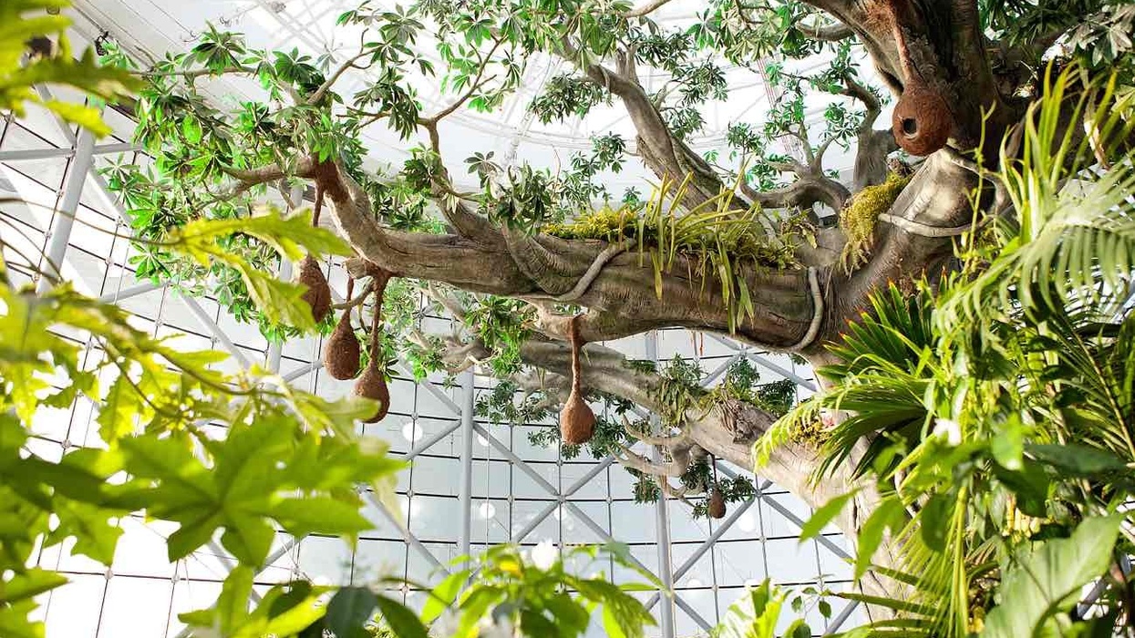 green planet dubai zooceanarium biodome 150 (1)