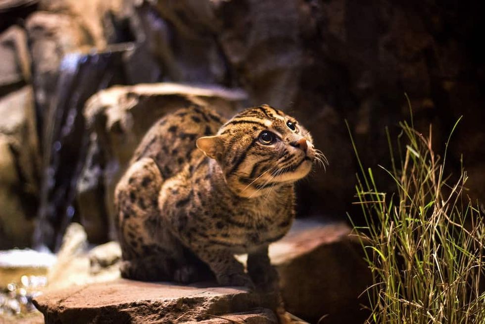 Greensboro Science Center