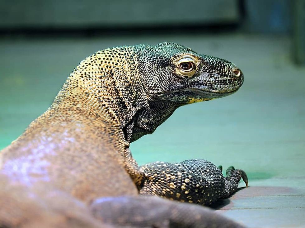 Greensboro Science Center