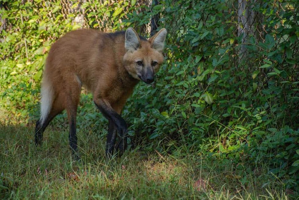 Greensboro Science Center