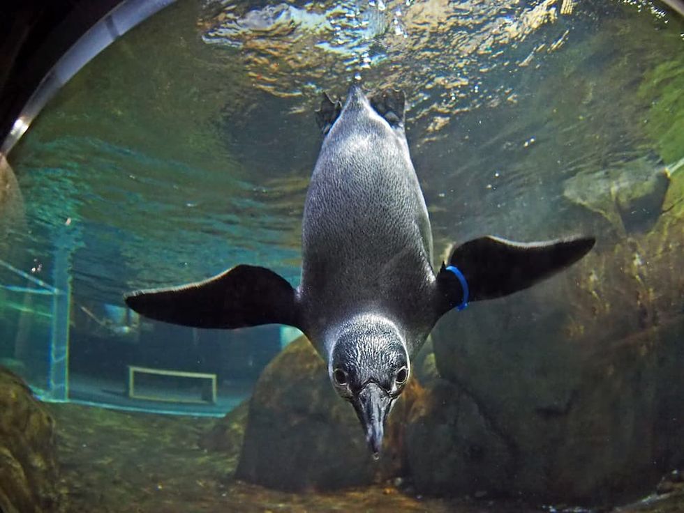 Greensboro Science Center