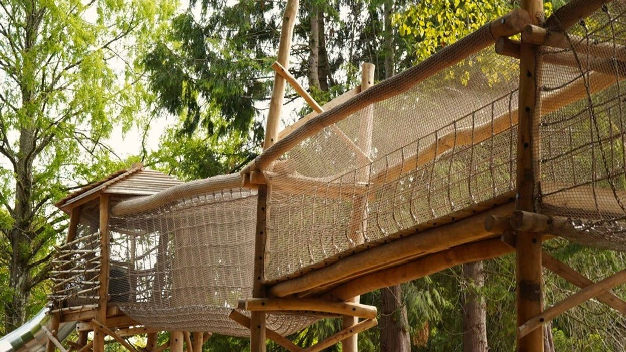 Greenspan Projects Birdworld