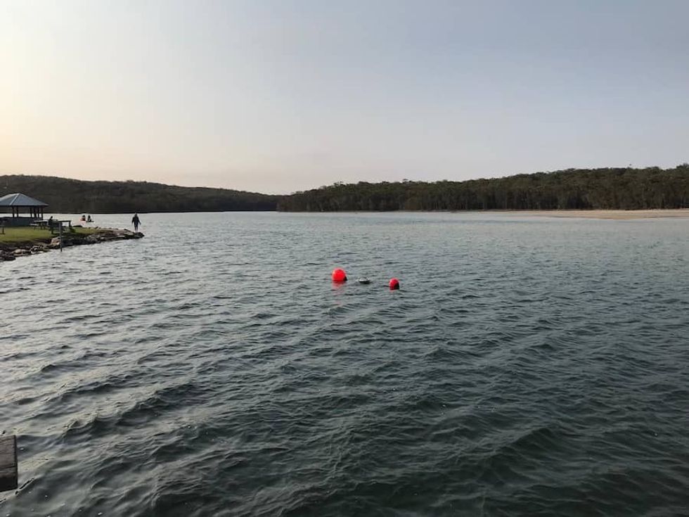 Grey Nurse Shark Rescue Ulladulla