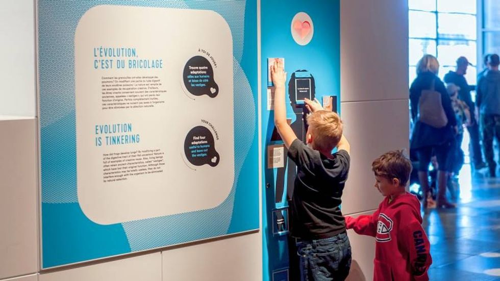 GSM Project's Human exhibition gets under your skin at Montréal Science Centre