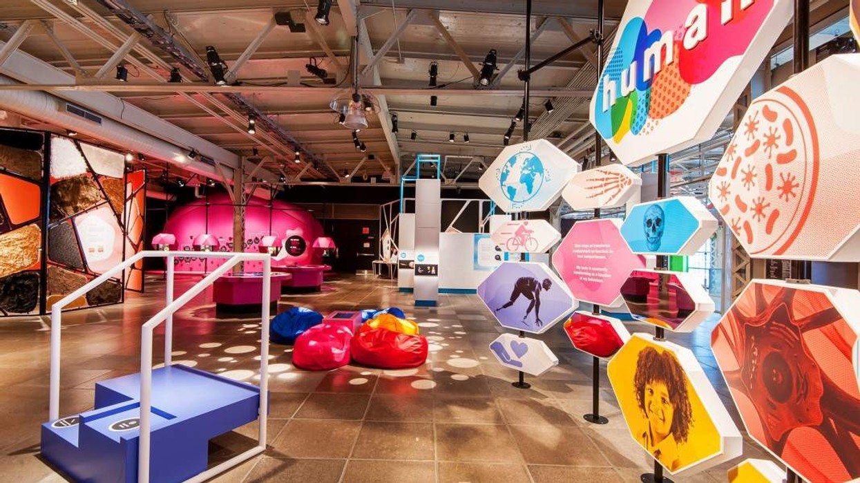 GSM's Human exhibition gets under your skin at Montréal Science Centre