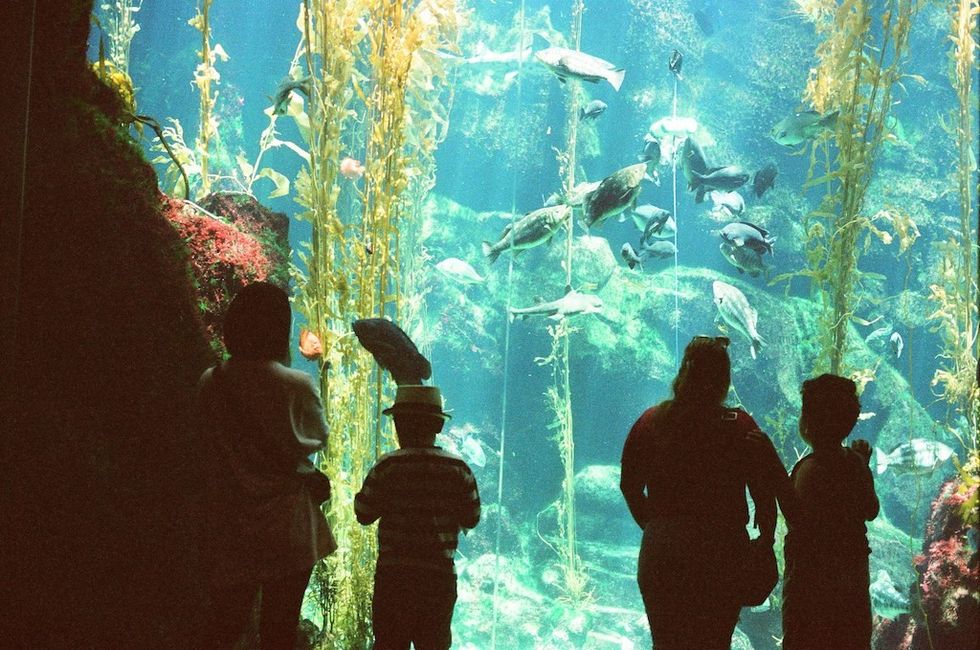 Guests at aquarium Mission-driven sustainability
