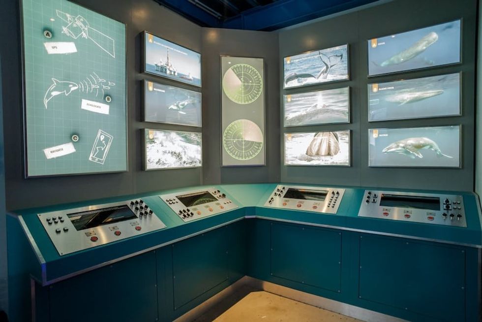 guests at Sonar Station, Wildlands Adventure Zoo, can guide whales to safety in a new interactive exhibit by Leisure Expert Group