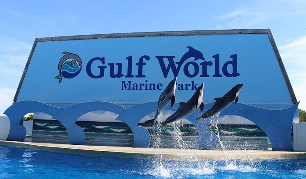 gulf world marine park