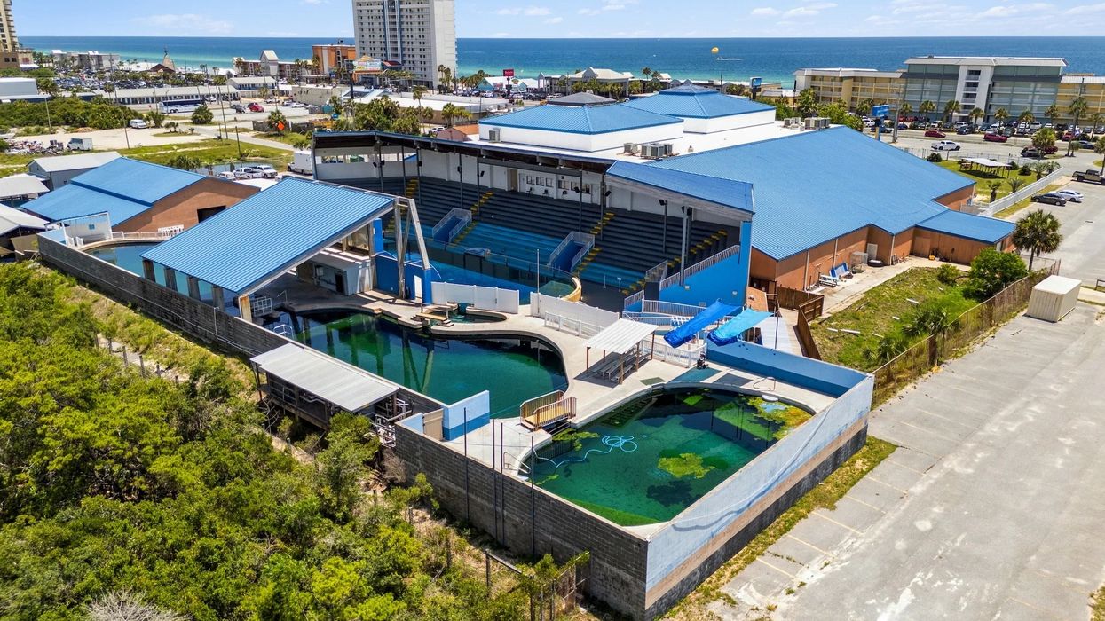 gulf world marine park