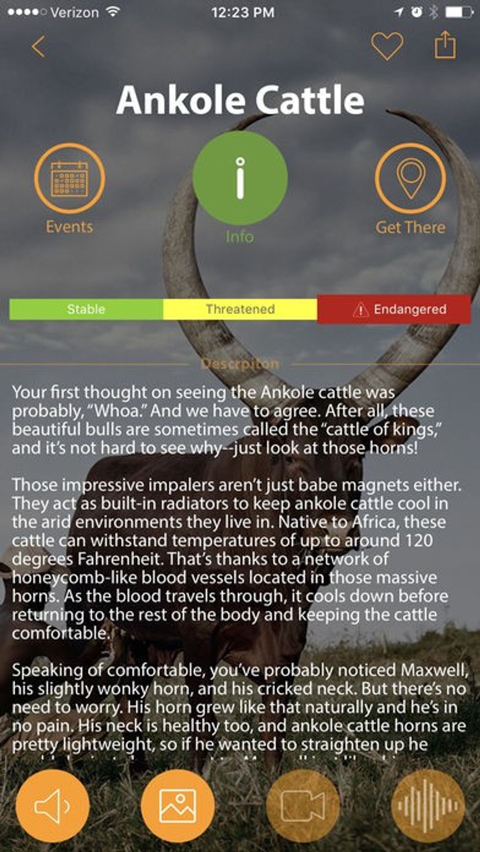 Guru: Why augmented reality (AR) is the ideal visitor engagement tool for zoos, aquariums and natural history museums