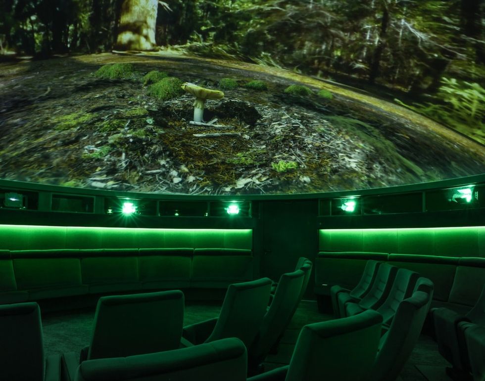 Habitat Earth Your Dome