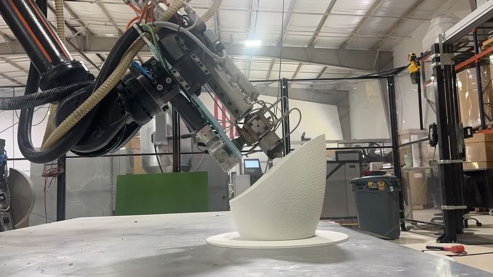 haddy disney accelerator