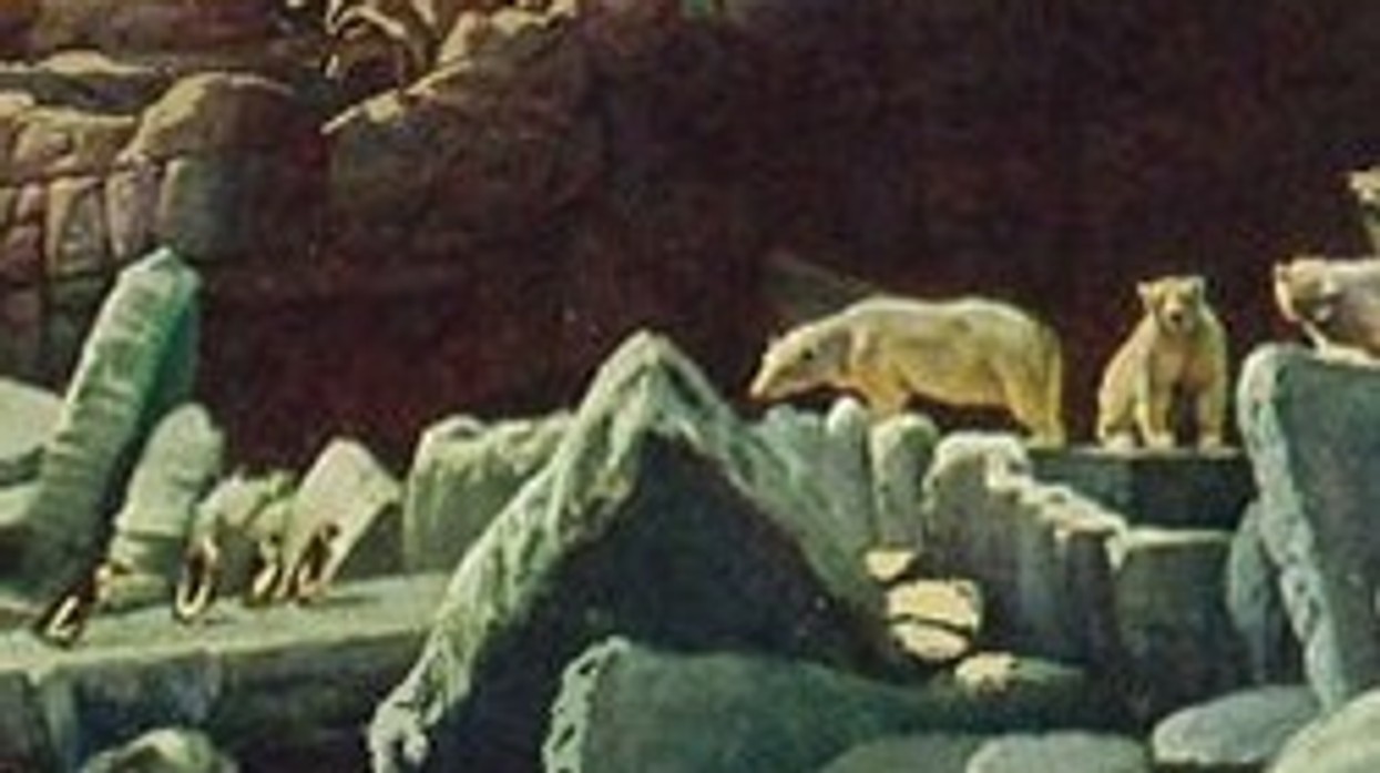 Hagenbeck Tierpark Nordland