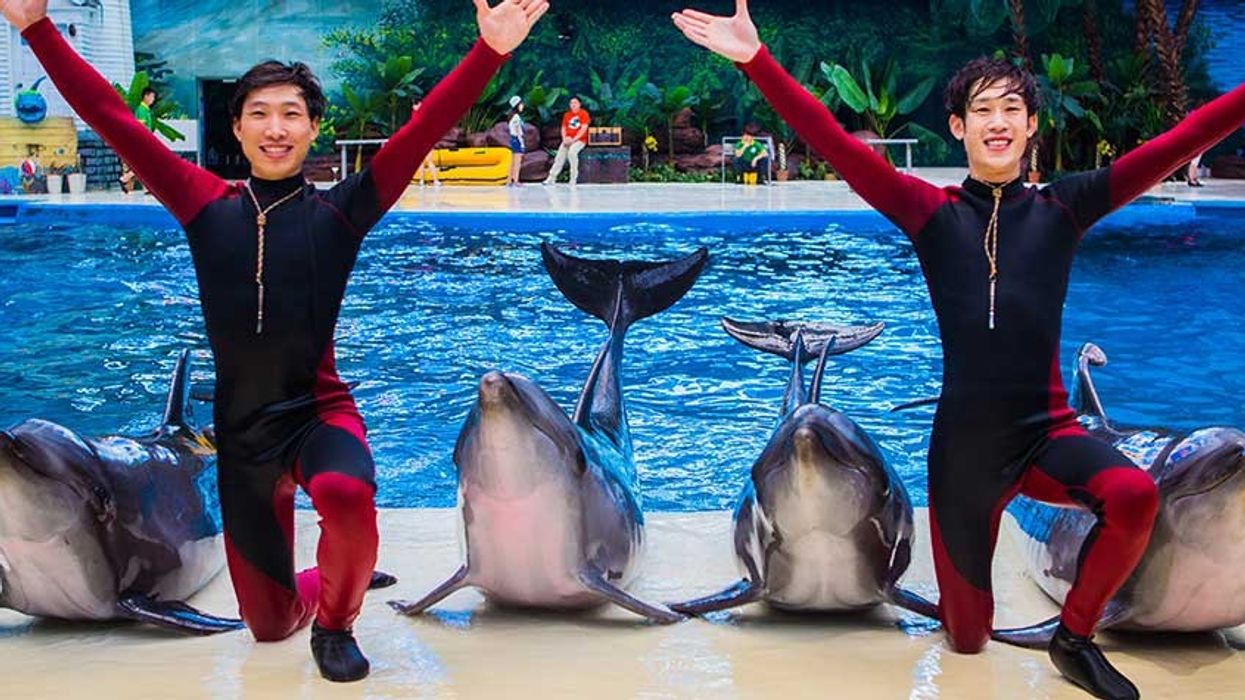 haichang ocean park