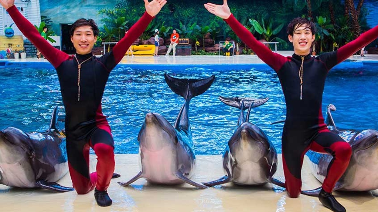 haichang ocean park