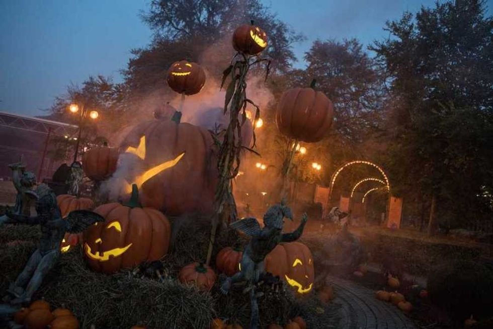 halloween pumpkins at tivoli friheden