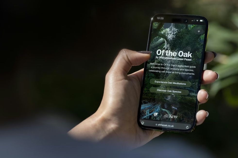 Hand holding a smartphone displaying "Of the Oak" app interface.